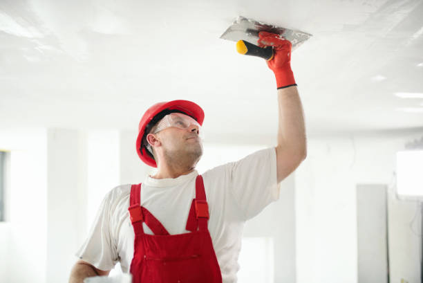 Eco-Friendly and Low-VOC Painting in Mack, OH